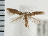  ( - PFC-2006-2026)  @12 [ ] CreativeCommons - Attribution (2009) Unspecified Centre for Biodiversity Genomics