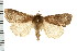  ( - PFC-2006-2092)  @14 [ ] CreativeCommons - Attribution (2009) Unspecified Centre for Biodiversity Genomics