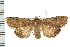  ( - PFC-2006-2109)  @14 [ ] CreativeCommons - Attribution (2009) Unspecified Centre for Biodiversity Genomics