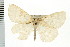  ( - PFC-2006-2111)  @14 [ ] CreativeCommons - Attribution (2009) Unspecified Centre for Biodiversity Genomics