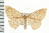  ( - PFC-2006-2130)  @12 [ ] CreativeCommons - Attribution (2009) Unspecified Centre for Biodiversity Genomics