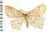  ( - PFC-2006-2131)  @12 [ ] CreativeCommons - Attribution (2009) Unspecified Centre for Biodiversity Genomics