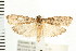  ( - PFC-2006-2138)  @14 [ ] CreativeCommons - Attribution (2009) Unspecified Centre for Biodiversity Genomics