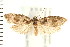  ( - PFC-2006-2160)  @13 [ ] CreativeCommons - Attribution (2009) Unspecified Centre for Biodiversity Genomics