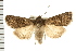  ( - PFC-2006-2207)  @14 [ ] CreativeCommons - Attribution (2009) Unspecified Centre for Biodiversity Genomics