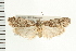  ( - PFC-2006-2231)  @13 [ ] CreativeCommons - Attribution (2009) Unspecified Centre for Biodiversity Genomics