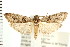  ( - PFC-2006-2251)  @14 [ ] CreativeCommons - Attribution (2009) Unspecified Centre for Biodiversity Genomics