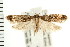  ( - PFC-2006-2252)  @14 [ ] CreativeCommons - Attribution (2009) Unspecified Centre for Biodiversity Genomics