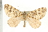  ( - PFC-2006-2320)  @14 [ ] CreativeCommons - Attribution (2009) Unspecified Centre for Biodiversity Genomics