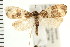  ( - PFC-2006-2351)  @13 [ ] CreativeCommons - Attribution (2009) Unspecified Centre for Biodiversity Genomics
