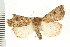  ( - PFC-2006-2363)  @14 [ ] CreativeCommons - Attribution (2009) Unspecified Centre for Biodiversity Genomics