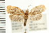  ( - PFC-2006-2384)  @14 [ ] CreativeCommons - Attribution (2009) Unspecified Centre for Biodiversity Genomics