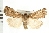  ( - PFC-2006-2390)  @14 [ ] CreativeCommons - Attribution (2009) Unspecified Centre for Biodiversity Genomics