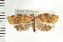  ( - PFC-2006-2427)  @14 [ ] CreativeCommons - Attribution (2009) Unspecified Centre for Biodiversity Genomics