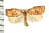  ( - PFC-2006-2465)  @14 [ ] CreativeCommons - Attribution (2009) Unspecified Centre for Biodiversity Genomics