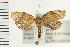  ( - PFC-2006-2474)  @14 [ ] CreativeCommons - Attribution (2009) Unspecified Centre for Biodiversity Genomics