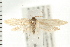  ( - PFC-2006-2565)  @13 [ ] CreativeCommons - Attribution (2009) Unspecified Centre for Biodiversity Genomics