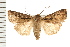  ( - PFC-2006-2579)  @15 [ ] CreativeCommons - Attribution (2009) Unspecified Centre for Biodiversity Genomics