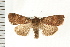  ( - PFC-2006-2587)  @14 [ ] CreativeCommons - Attribution (2009) Unspecified Centre for Biodiversity Genomics