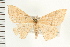  ( - PFC-2006-2608)  @12 [ ] CreativeCommons - Attribution (2009) Unspecified Centre for Biodiversity Genomics