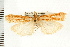  ( - PFC-2006-2610)  @13 [ ] CreativeCommons - Attribution (2009) Unspecified Centre for Biodiversity Genomics