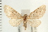  ( - PFC-2006-2612)  @14 [ ] CreativeCommons - Attribution (2009) Unspecified Centre for Biodiversity Genomics