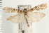  ( - PFC-2006-0399)  @13 [ ] CreativeCommons - Attribution (2008) Unspecified Centre for Biodiversity Genomics