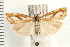  ( - PFC-2006-0402)  @14 [ ] CreativeCommons - Attribution (2008) Unspecified Centre for Biodiversity Genomics