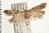  ( - PFC-2006-0403)  @14 [ ] CreativeCommons - Attribution (2008) Unspecified Centre for Biodiversity Genomics