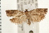  ( - PFC-2006-0417)  @14 [ ] CreativeCommons - Attribution (2008) Unspecified Centre for Biodiversity Genomics