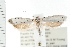  ( - PFC-2006-2629)  @11 [ ] CreativeCommons - Attribution (2009) Unspecified Centre for Biodiversity Genomics