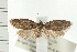  ( - PFC-2006-2641)  @13 [ ] CreativeCommons - Attribution (2009) Unspecified Centre for Biodiversity Genomics