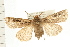  ( - PFC-2006-2668)  @14 [ ] CreativeCommons - Attribution (2009) Unspecified Centre for Biodiversity Genomics