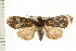  ( - PFC-2006-2696)  @14 [ ] CreativeCommons - Attribution (2009) Unspecified Centre for Biodiversity Genomics