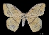  ( - MAL-00008)  @14 [ ] Unspecified (default): All Rights Reserved  Unspecified Unspecified