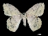  ( - MAL-00008)  @13 [ ] Unspecified (default): All Rights Reserved  Unspecified Unspecified
