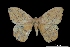  ( - MAL-00010)  @13 [ ] Unspecified (default): All Rights Reserved  Unspecified Unspecified