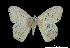  ( - MAL-00010)  @13 [ ] Unspecified (default): All Rights Reserved  Unspecified Unspecified