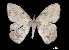  ( - MAL-00011)  @13 [ ] Unspecified (default): All Rights Reserved  Unspecified Unspecified