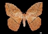  ( - MAL-00013)  @14 [ ] Unspecified (default): All Rights Reserved  Unspecified Unspecified