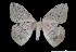  ( - MAL-00016)  @14 [ ] Unspecified (default): All Rights Reserved  Unspecified Unspecified