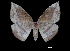  ( - MAL-00021)  @14 [ ] Unspecified (default): All Rights Reserved  Unspecified Unspecified