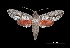  ( - MAL-00042)  @13 [ ] Unspecified (default): All Rights Reserved  Unspecified Unspecified