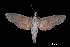  ( - MAL-00044)  @12 [ ] Unspecified (default): All Rights Reserved  Unspecified Unspecified