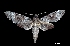  ( - MAL-00061)  @14 [ ] Unspecified (default): All Rights Reserved  Unspecified Unspecified