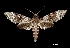  ( - MAL-00062)  @14 [ ] Unspecified (default): All Rights Reserved  Unspecified Unspecified