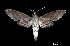  ( - MAL-00062)  @14 [ ] Unspecified (default): All Rights Reserved  Unspecified Unspecified