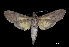  ( - MAL-00091)  @13 [ ] Unspecified (default): All Rights Reserved  Unspecified Unspecified