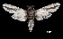  ( - MAL-00093)  @13 [ ] Unspecified (default): All Rights Reserved  Unspecified Unspecified