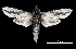  ( - MAL-00094)  @13 [ ] Unspecified (default): All Rights Reserved  Unspecified Unspecified